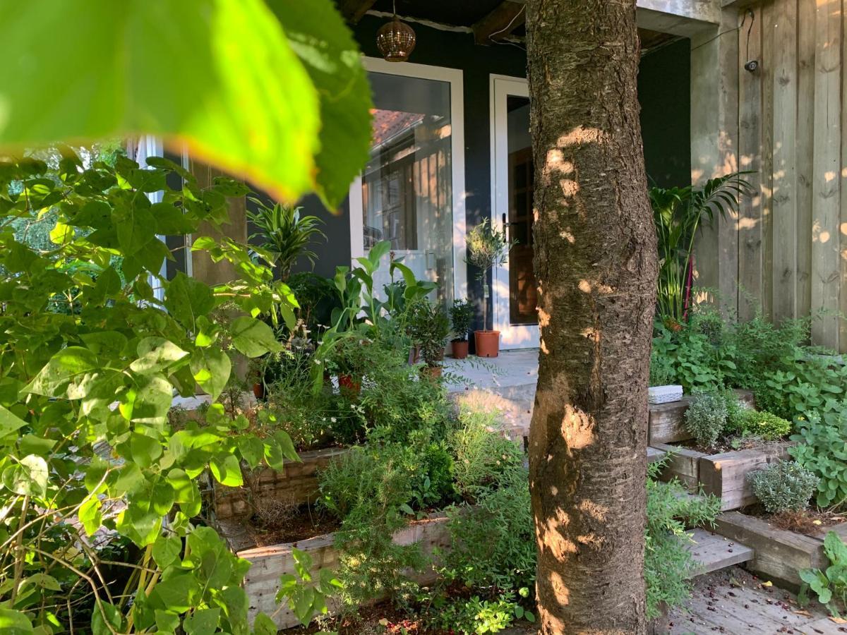 Frica Ludvika Garden Apartment