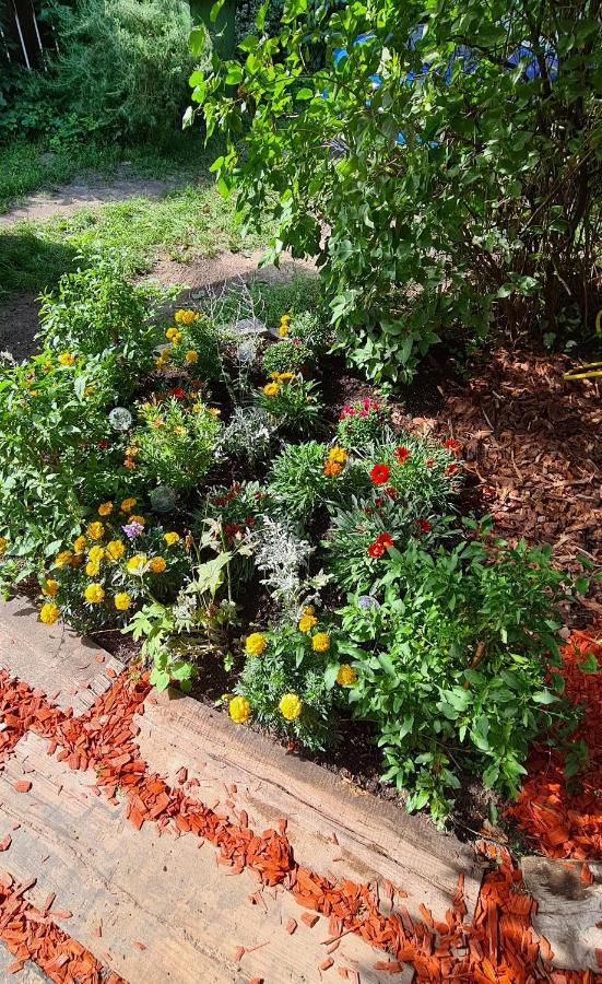 Frica Ludvika Garden Appartamento Liepāja